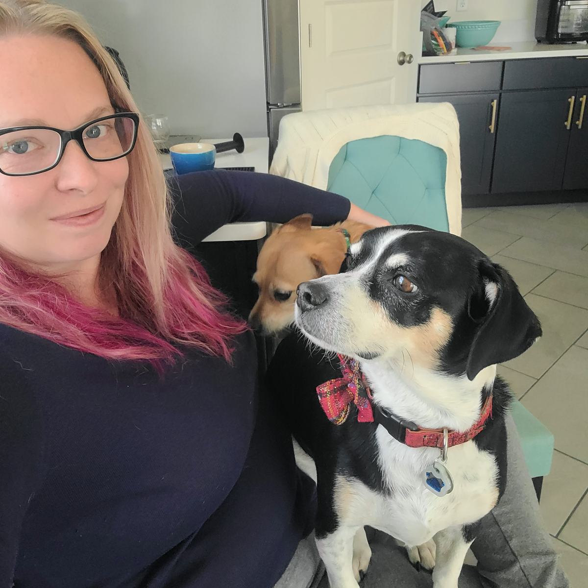 Allie at home with a black-and-white dog wearing a plaid bow tie and a tan dog